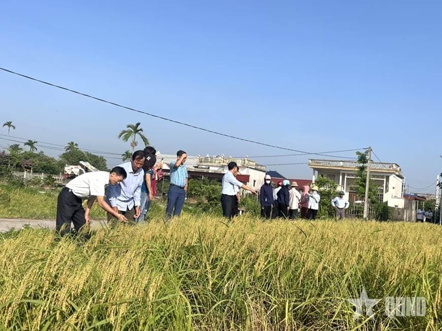 Liên kết chuỗi - đòn bẩy nâng cao giá trị nông nghiệp