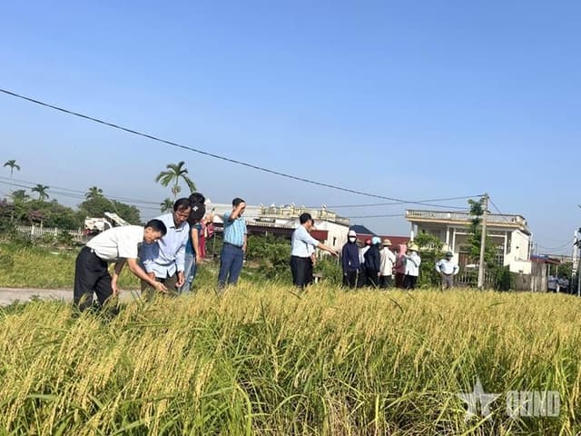 Liên kết chuỗi - đòn bẩy nâng cao giá trị nông nghiệp